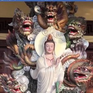 Meet your Posher, Linh